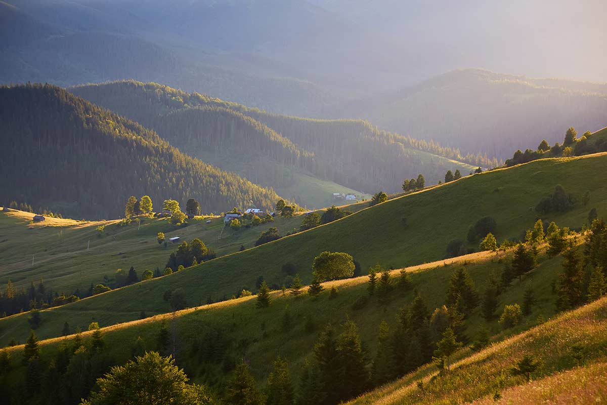 Отдых без переплат в Германии: 8 бюджетных направлений. Фото: freepik.com