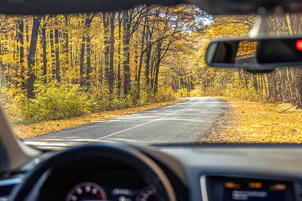 Беспилотные автомобили в Германии: нужны ли им права. Фото: freepik.com