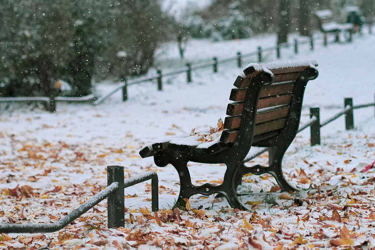 Когда в Германии может выпасть первый снег в 2025 году. Фото: unsplash.com