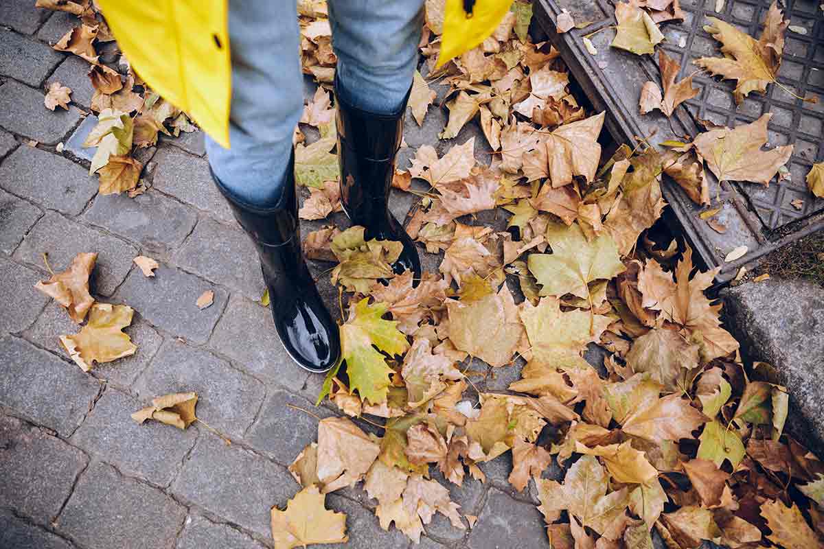 Кто обязан убирать листья в Германии: правила и штрафы. Фото: freepik.com