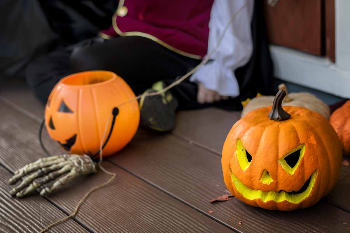 За что можно получить штраф на Хэллоуин в Германии. Фото: freepik.com