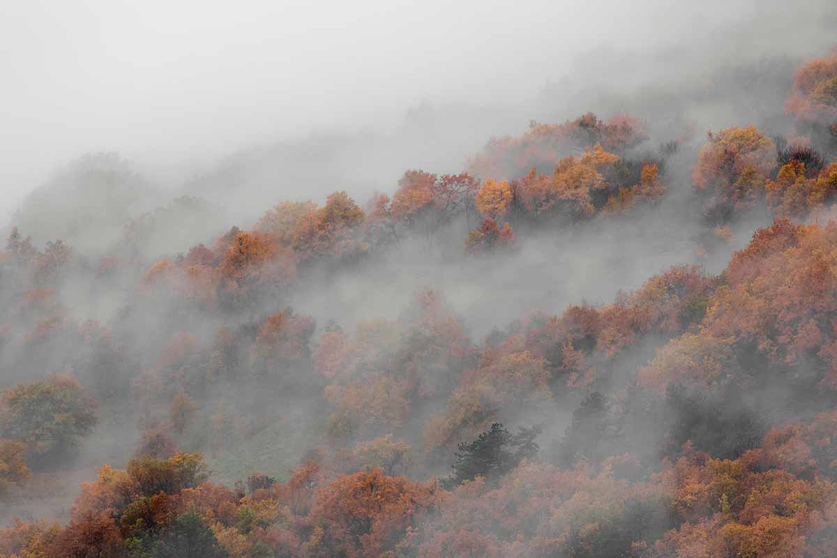 Туман вместо солнца: почему сложно заранее его предсказать. Фото: freepik.com
