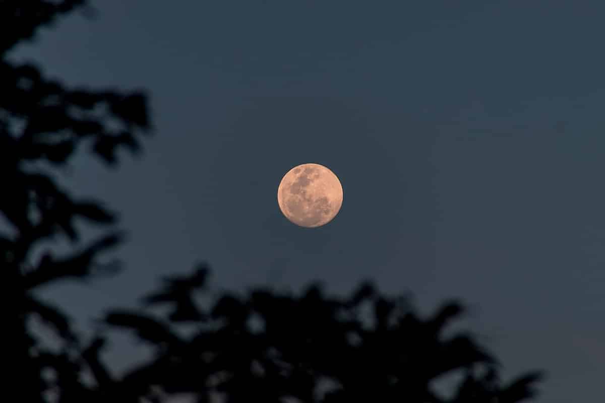 Суперлуние в Германии 5 ноября 2025 года. Фото: freepik.com