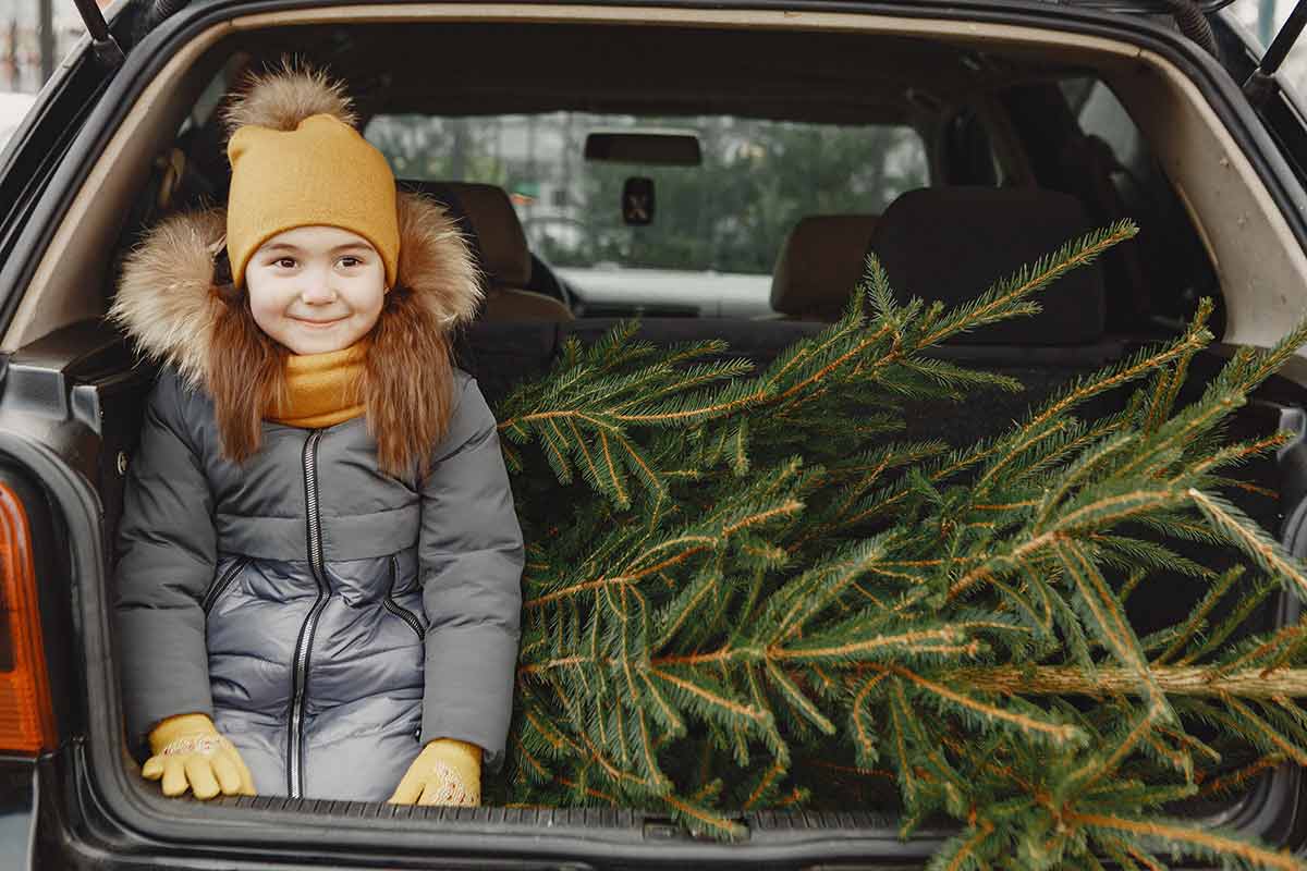 Никогда не сажай человека в багажник, чтобы он придерживал ёлку. Это очень опасно. Фото: freepik.com