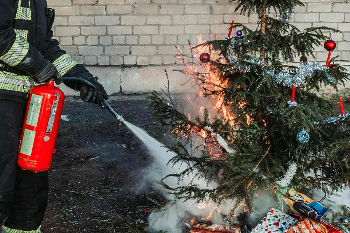 Правила пожарной безопасности на Рождество в Германии. Фото: pexels.com