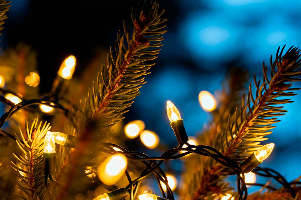 Миф о дешёвых гирляндах в Германии: как не переплатить. Фото: freepik.com
