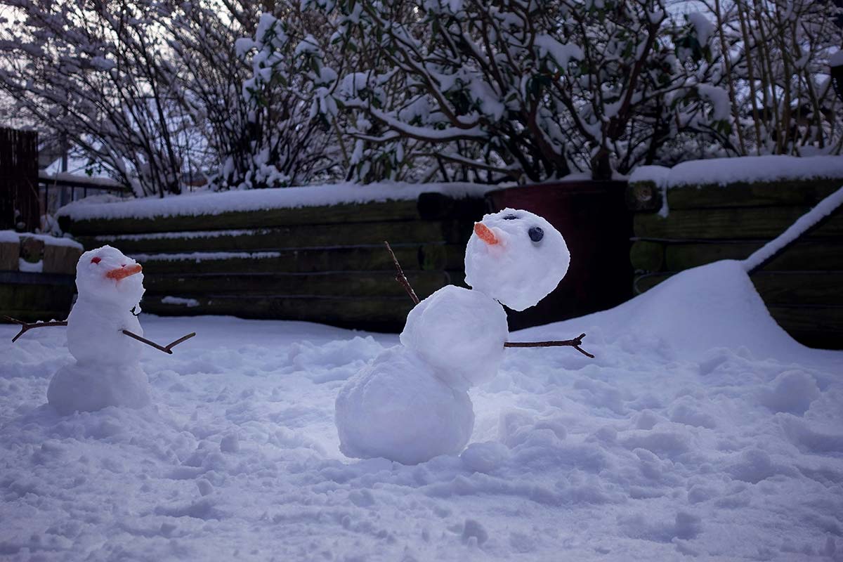 5 необходимых вещей для жизни в Германии в 2026 году. Фото: unsplash.com