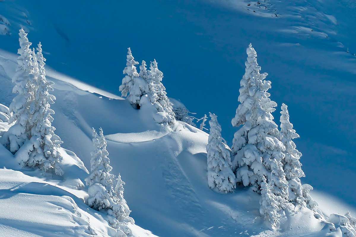 Снежная буря в Германии в начале 2026 года. Фото: pixabay.com