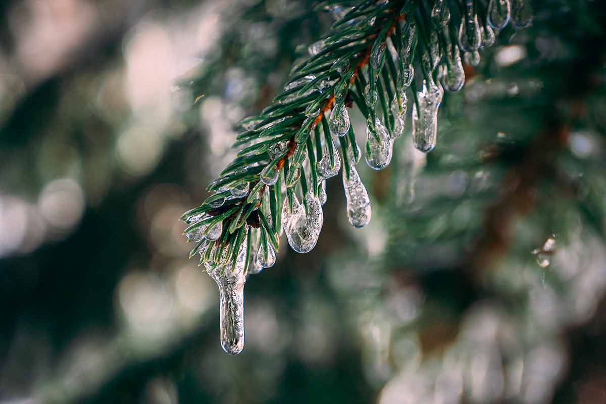 Ледяной дождь в Германии: опасность гололеда. Фото: freepik.com