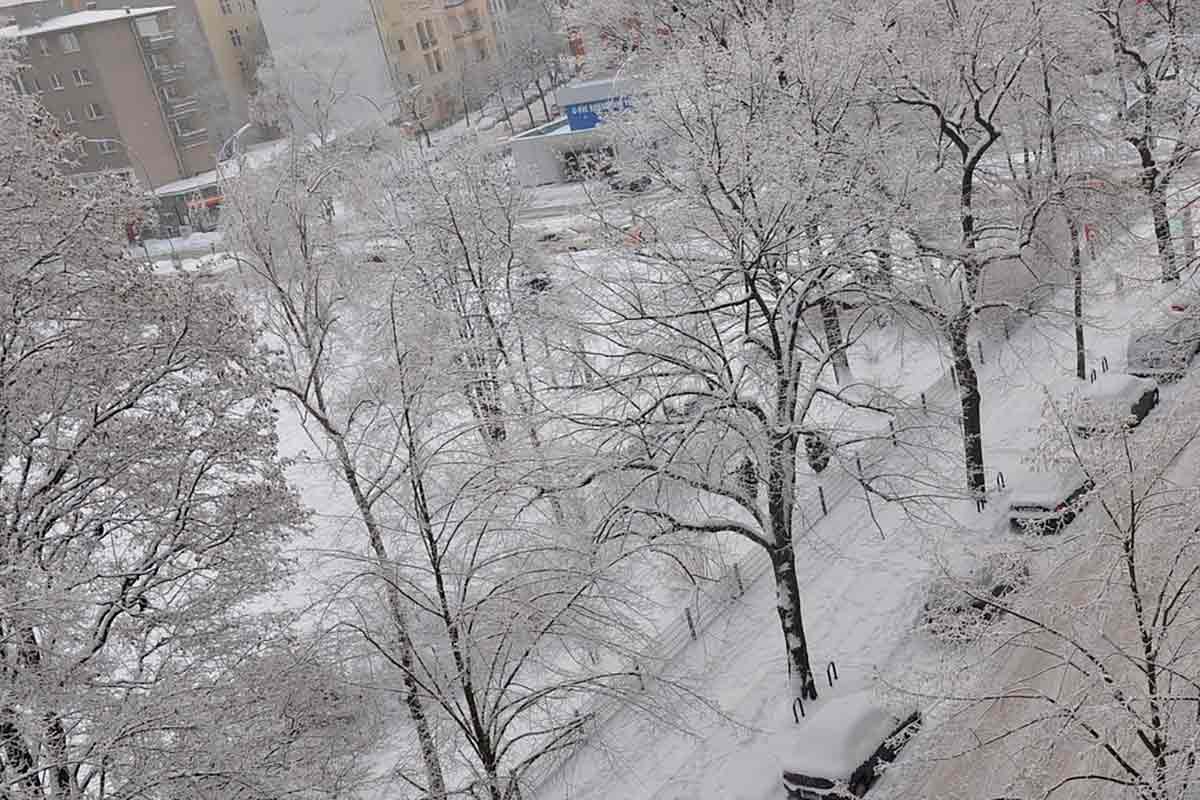 Как зимние морозы опустошают газовые хранилища Германии. Фото: pixabay.com