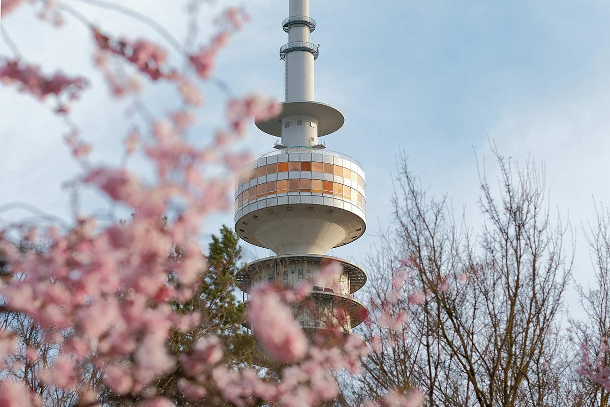 Ложная весна в Германии: температура поднимется до 21 °C