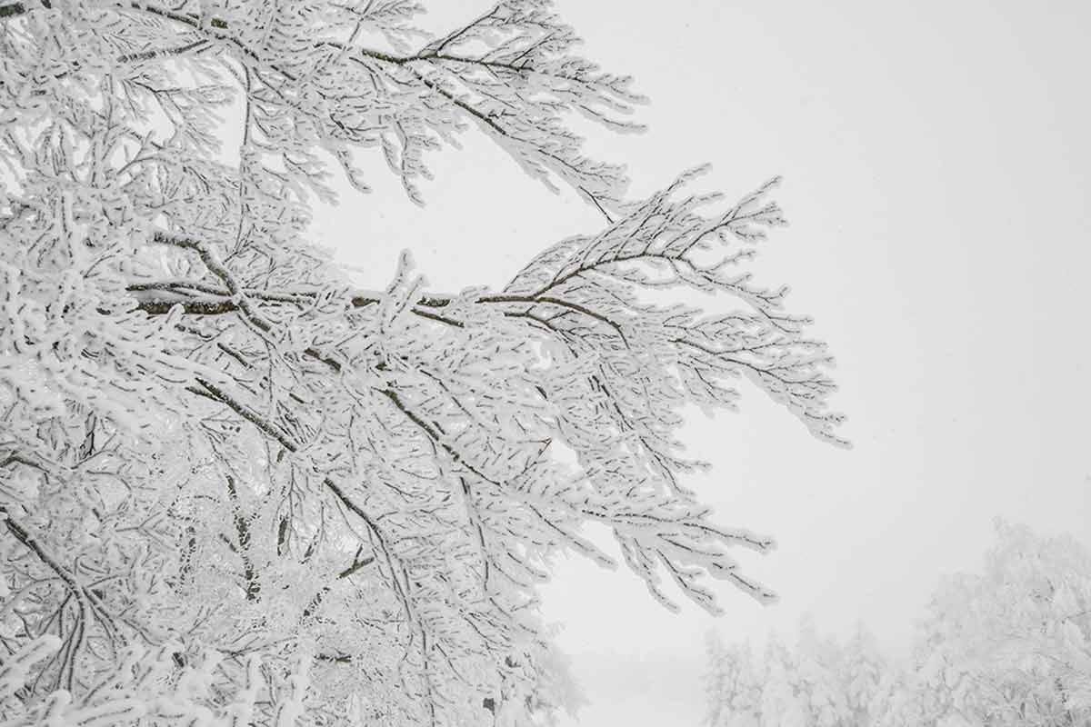 Морозы и метель в Германии: прогноз на февраль 2026 года. Фото: freepik.com