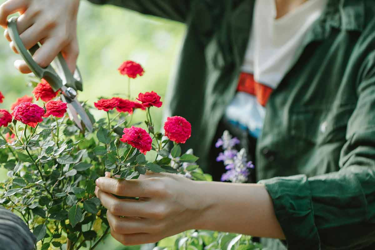 5 профессий без стресса и с достойной зарплатой в Германии. Фото: pexels.com