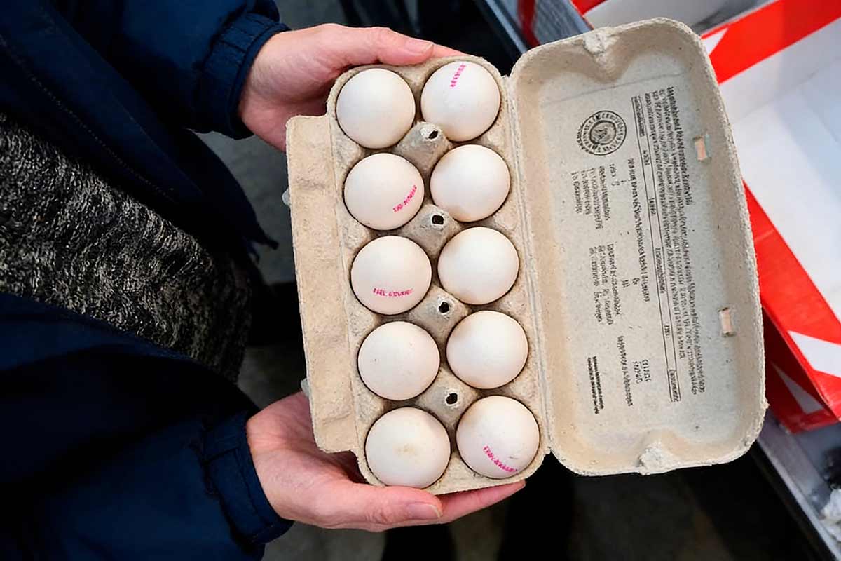 Яйца в Kaufland: будет ли дефицит и лимиты к Пасхе 2026 года. Фото: ausnews.de