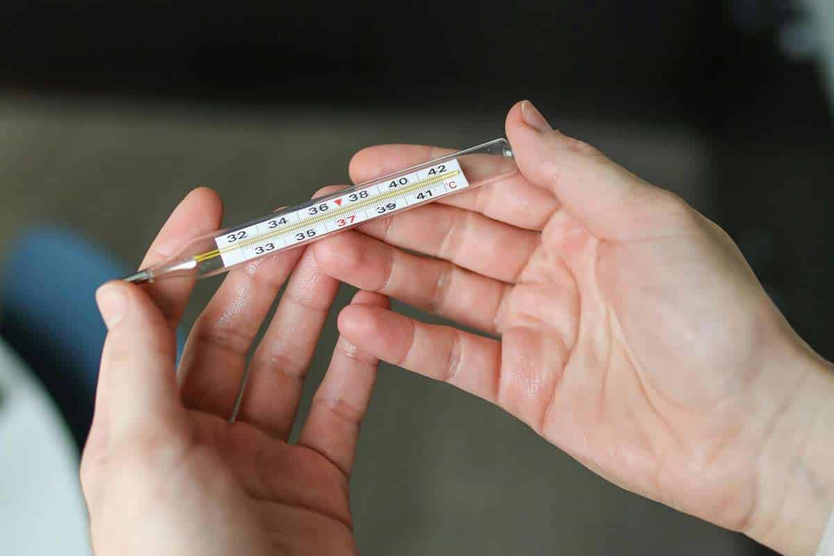 Лихорадка Оропуш в Германии: что нужно знать. Фото: pexels.com