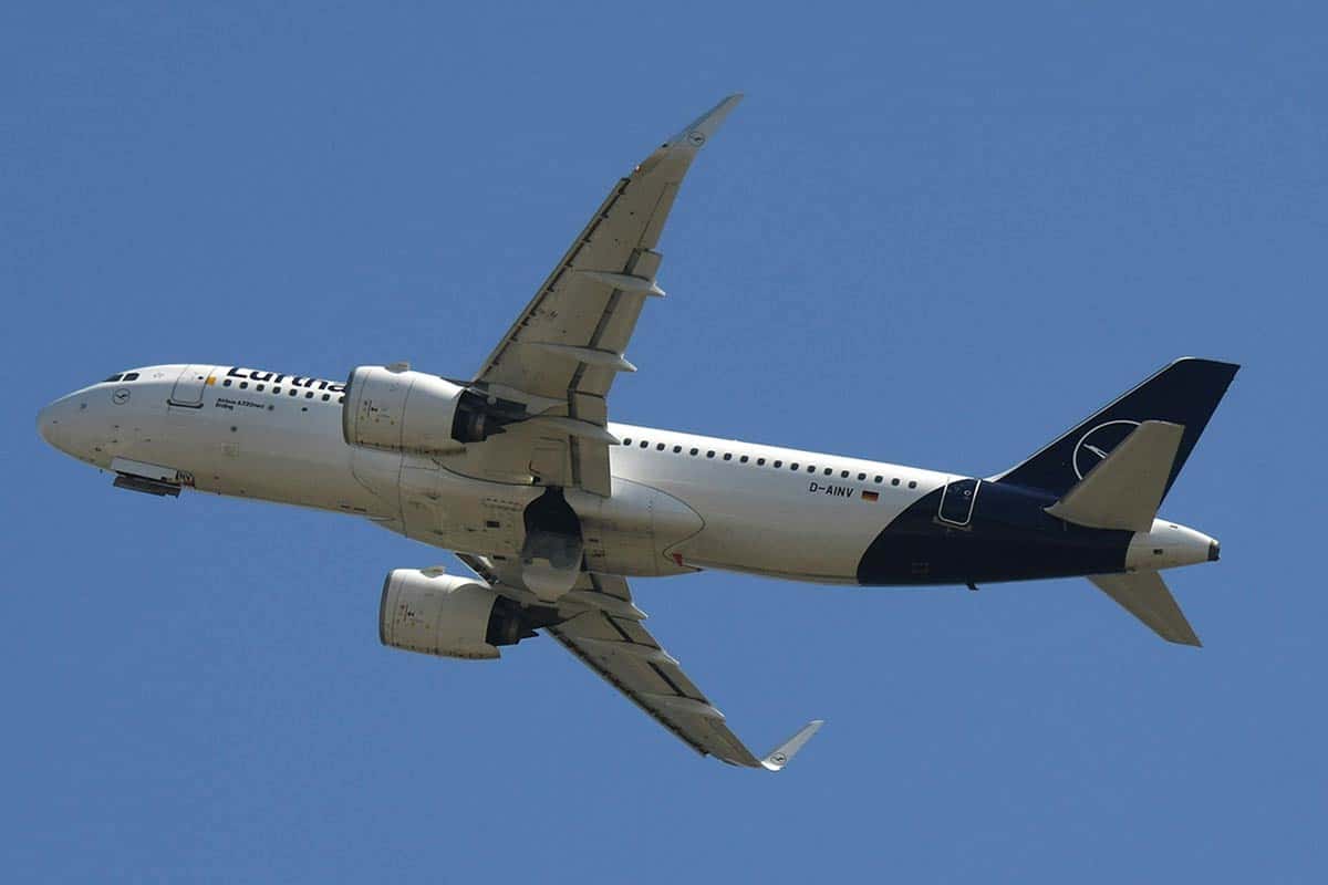 Цены на перелёты и туры в Германии растут: советы экспертов. Фото: pexels.com