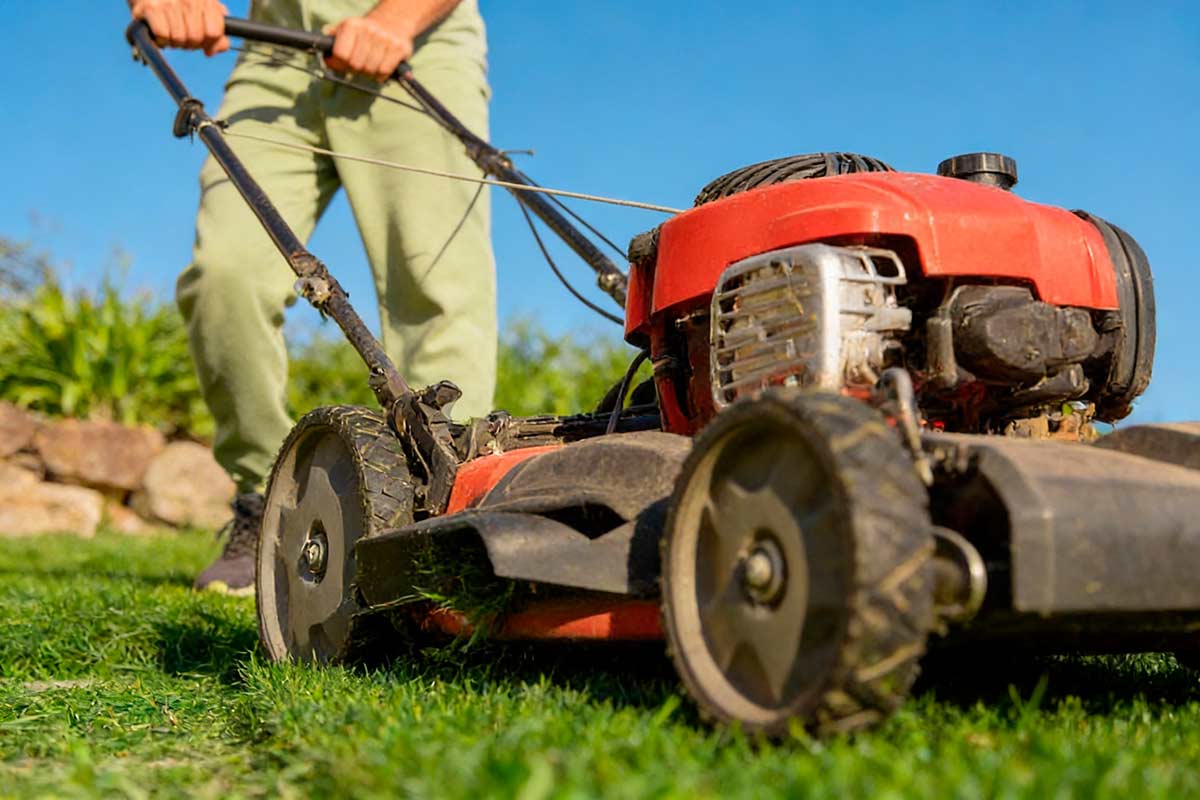 Садовые работы на Пасху в Германии: что запрещено в 2026 году. Фото: ausnews.de