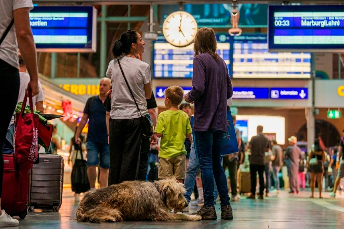 Сбой в Deutsche Bahn: какие компенсации положены пассажирам. Фото: ausnews.de