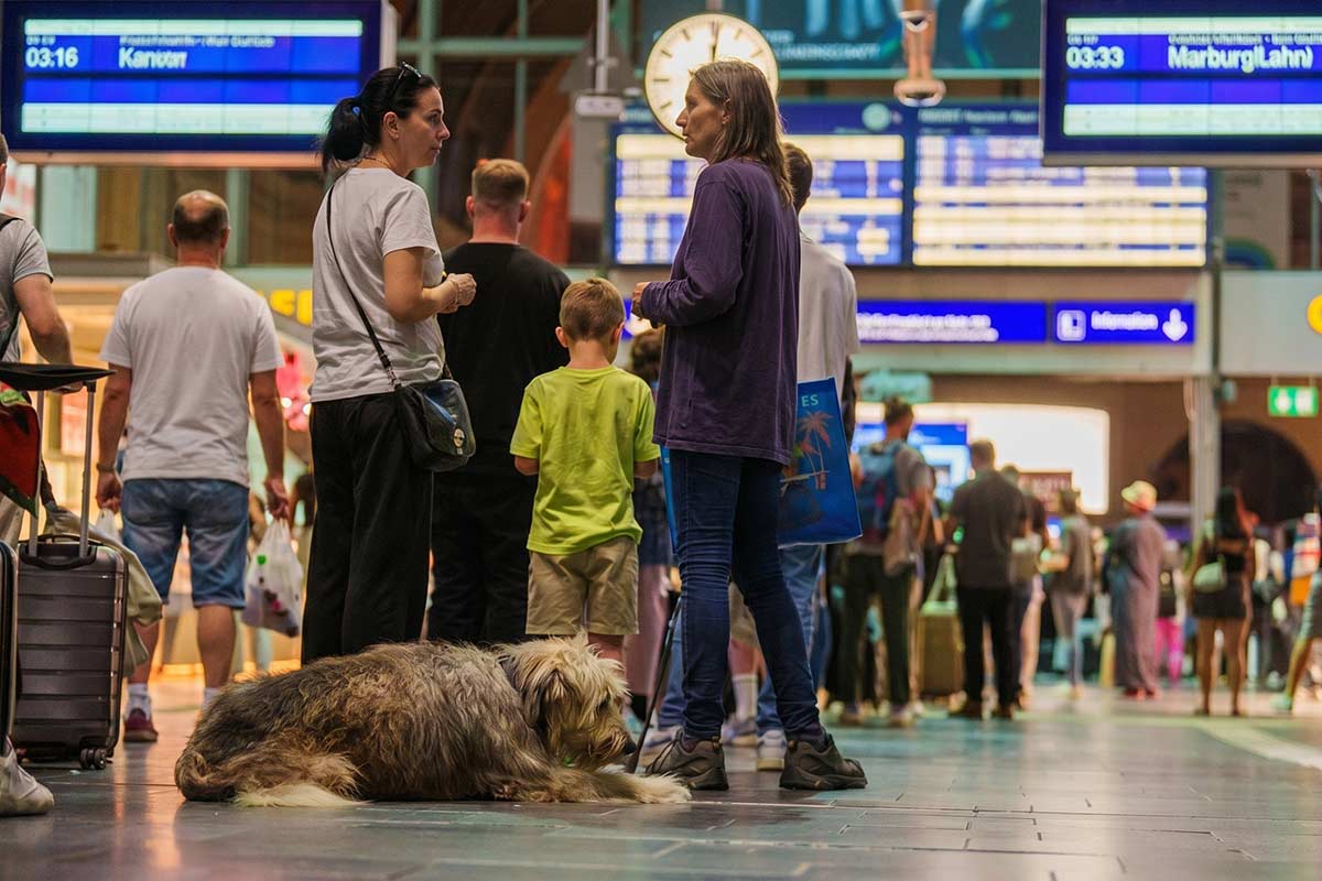 Deutsche Bahn остановила движение по всей стране: что известно сейчас. Фото: ausnews.de
