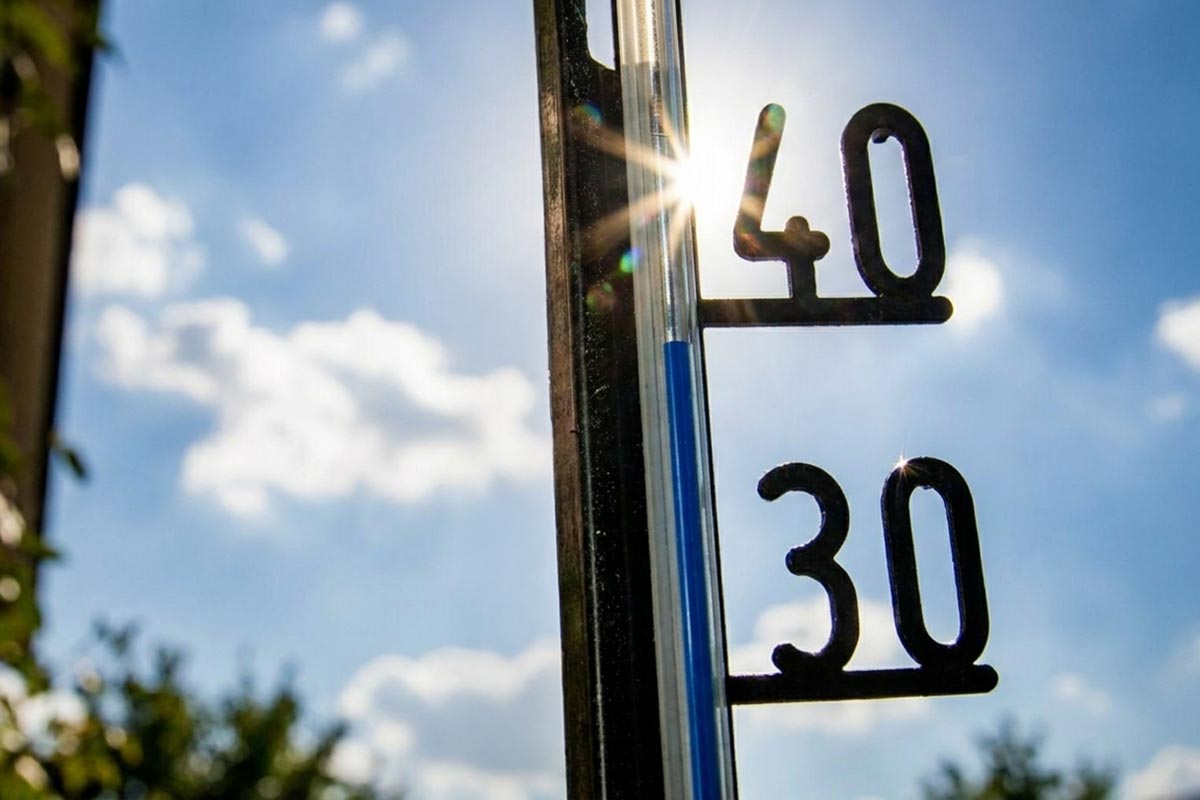Жара до 39 градусов: понедельник станет пиком лета в Германии. Фото: ausnews.de