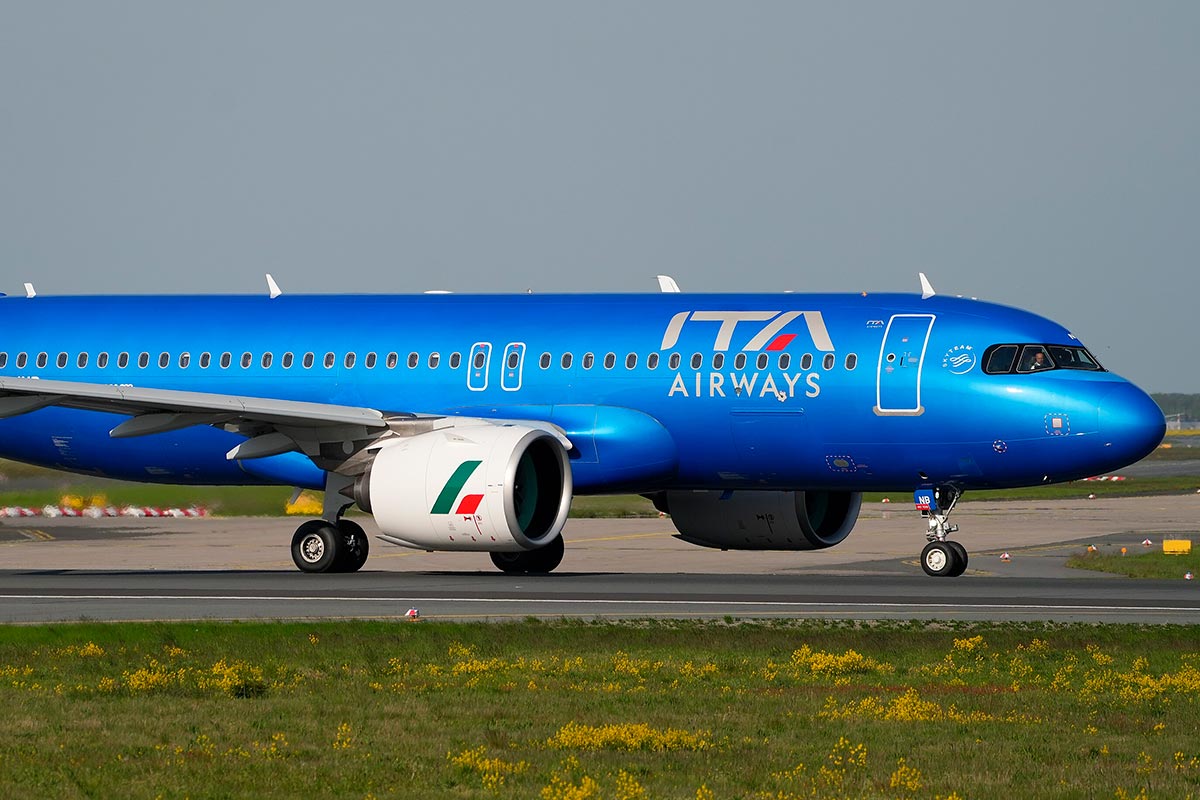 Ita Airways разрешит перевозку крупных собак в салоне с 3 августа. Фото: ausnews.de