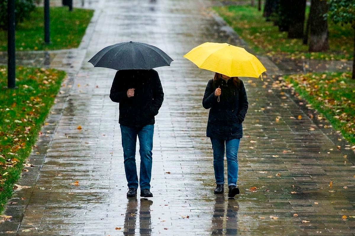С 9 сентября в Германии резко похолодает до +16°C. Фото: ausnews.de