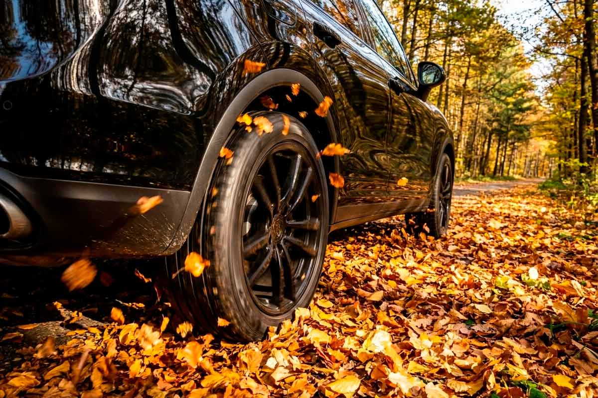 Почему осенью в Германии растёт число аварий: ADAC назвал причины. Фото: ausnews.de