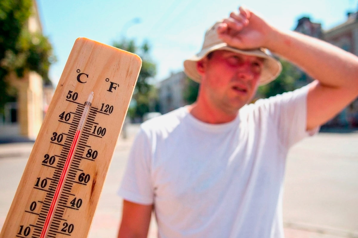 Лето-2026 в Германии побило вековые рекорды: до 41,8 °C и 15 800 жертв. Фото: ausnews.de