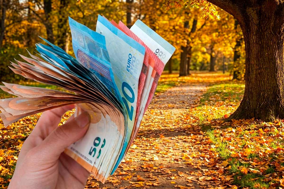 Laub-Rente в Германии: кому положена компенсация за уборку листьев соседа. Фото: ausnews.de